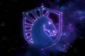 Skin's image