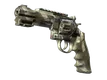 Skin's image