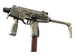 Skin's image