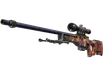 Skin's image