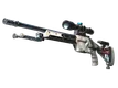 Skin's image