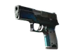 Skin's image