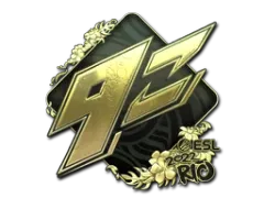 印花 | 9z Team（金色）| 2022年里约热内卢锦标赛