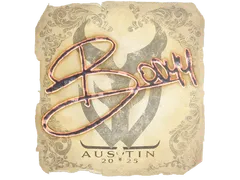 Sticker | bodyy | Austin 2025