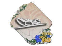 Abțibild | CeRq | Rio 2022