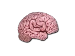 Klistermärke | CS On The Mind