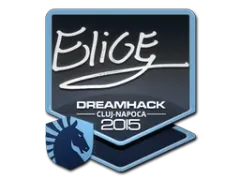 Sticker | EliGE | Cluj-Napoca 2015