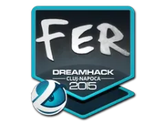 Naklejka | fer | Kluż-Napoka 2015