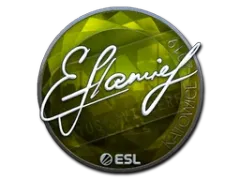 Sticker | flamie (Foil) | Katowice 2019