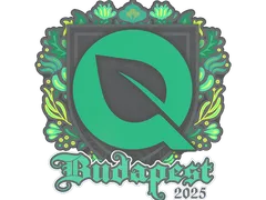 Наклейка | FlyQuest | Будапешт-2025
