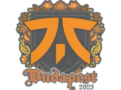 Sticker | fnatic | Budapest 2025