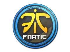 Pegatina | Fnatic | Colonia 2014