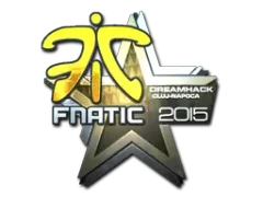 Klistermærke | Fnatic (Folie) | Cluj-Napoca 2015
