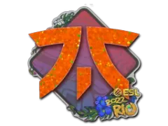 印花 | Fnatic（闪耀）| 2022年里约热内卢锦标赛