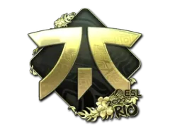 Klistermärke | Fnatic (Gold) | Rio 2022