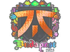 Sticker | fnatic (Holo) | Budapest 2025
