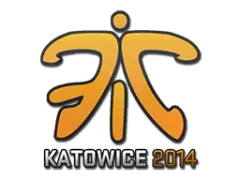 印花 | Fnatic | 2014年卡托维兹锦标赛