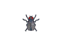 Sticker | Fruit Fly (Foil)