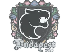 Sticker | FURIA | Budapest 2025