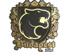 Sticker | FURIA (Gold) | Budapest 2025