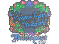 Наклейка | hallzerk (вышитая) | Будапешт-2025
