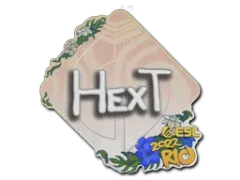 Naklejka | HexT | Rio 2022