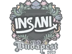 Sticker | insani | Budapest 2025