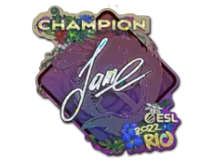 Abțibild | Jame (sclipitor, campion) | Rio 2022