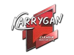 Naklejka | karrigan | Boston 2018