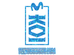 Sticker | KOI (Glitter) | Copenhagen 2024