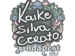 Наклейка | KSCERATO | Будапешт-2025