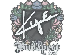 Sticker | kye | Budapest 2025