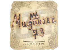 Sticker | Magnojez | Austin 2025