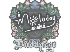 Sticker | molodoy | Budapest 2025