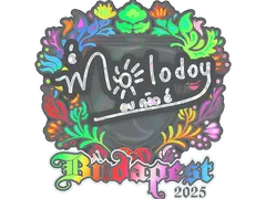 Pegatina | molodoy (holográfica) | Budapest 2025