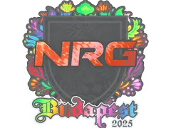 Sticker | NRG (Holo) | Budapest 2025