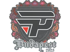 Sticker | paiN Gaming | Budapest 2025