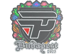 Sticker | paiN Gaming (Embroidered) | Budapest 2025