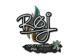 Aufkleber | roeJ | Antwerpen 2022
