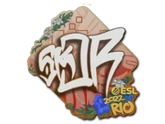 Klistermærke | sk0R | Rio 2022