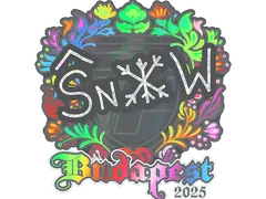 Sticker | snow (Holo) | Budapest 2025