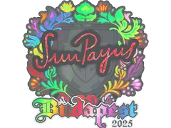 Наклейка | SunPayus (голографическая) | Будапешт-2025