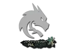 Sticker | Team Spirit | Antwerp 2022