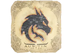 Sticker | Team Spirit | Austin 2025