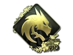 印花 | Team Spirit （金色）| 2022年里约热内卢锦标赛