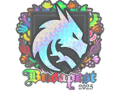 Sticker | Team Spirit (Holo) | Budapest 2025