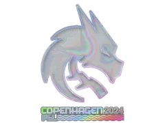 Aufkleber | Team Spirit (Holo) | Kopenhagen 2024