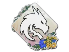 Sticker | Team Spirit | Rio 2022