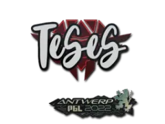 Abțibild | TeSeS | Antwerp 2022