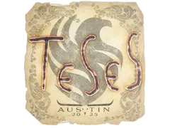 Sticker | TeSeS | Austin 2025